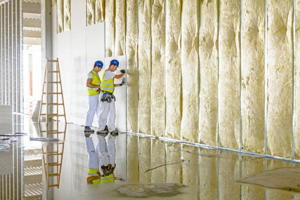 Best Insulation Repair Services  in Parkway, CA